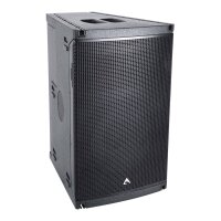 AXIOM AX1012P 12 (305mm), 2-Wege, Full-Range, Constant...
